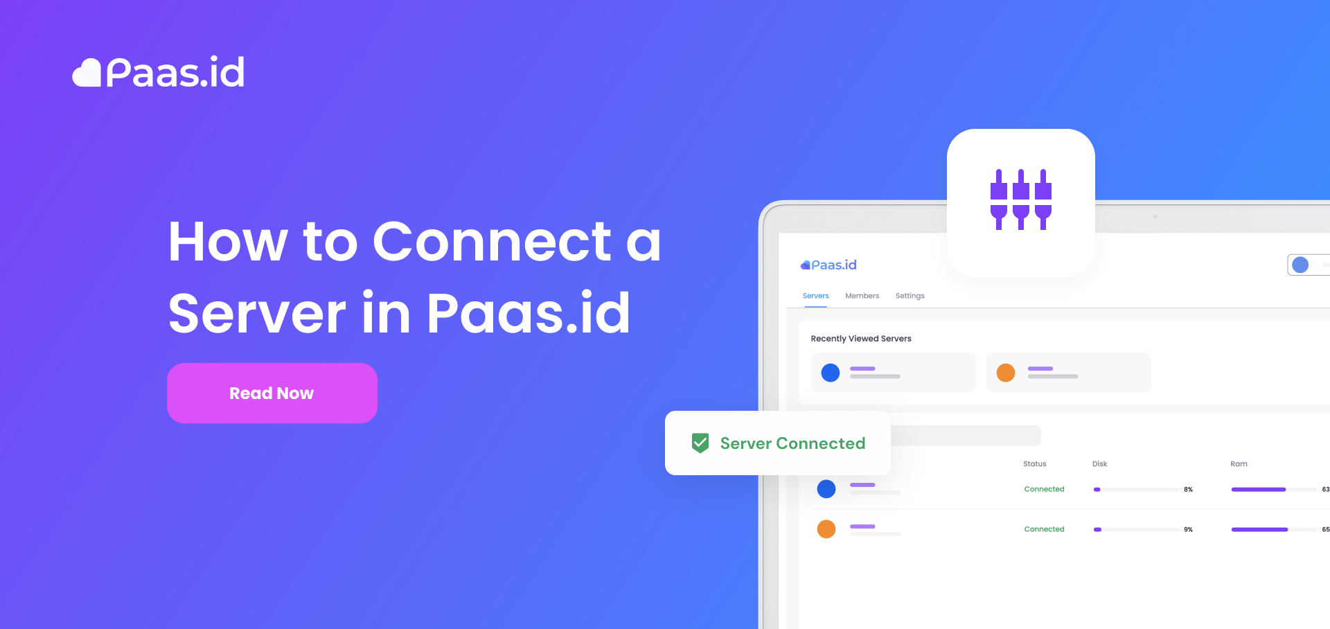 How to Connect a Server in PAAS